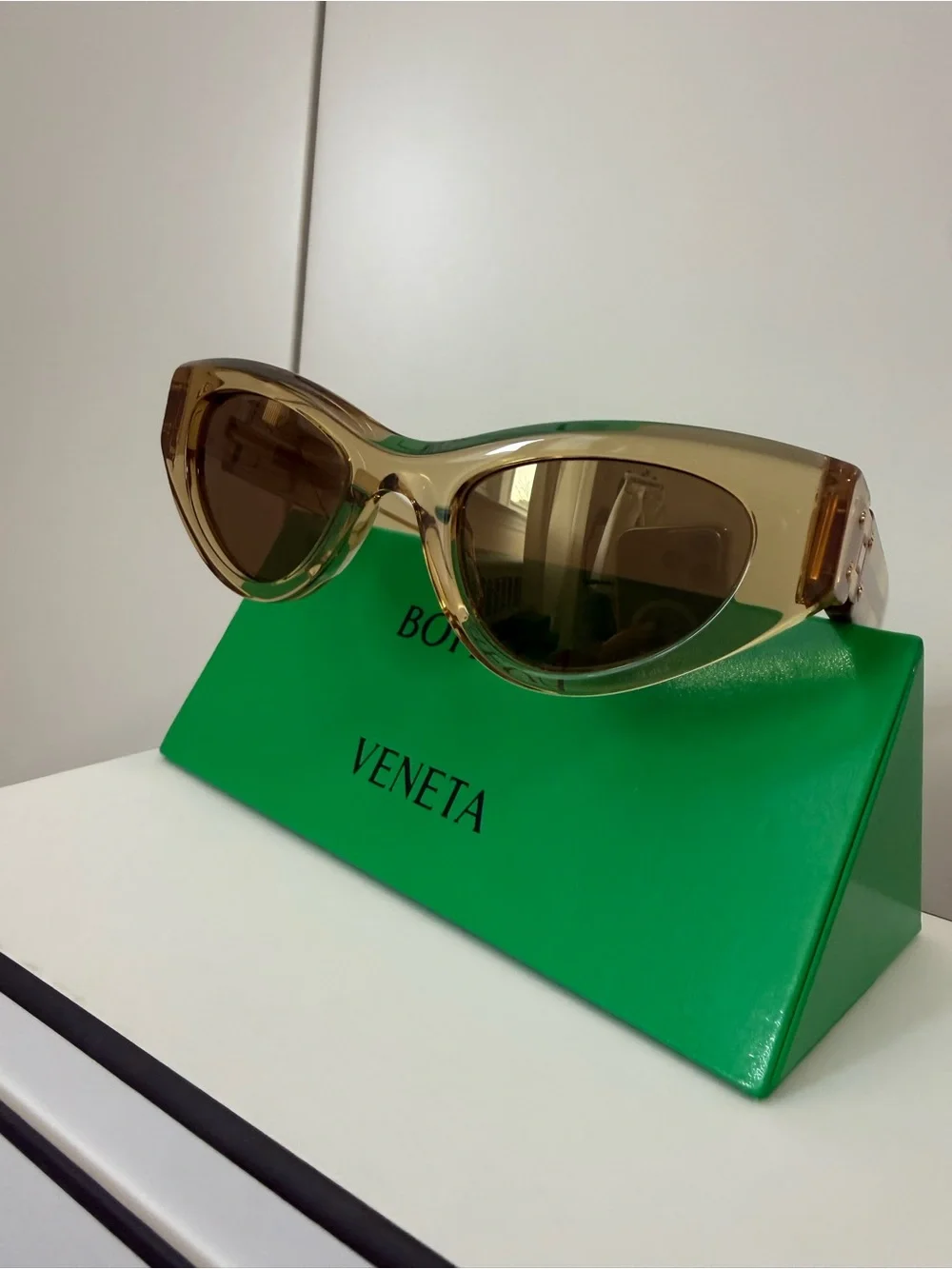 Bottega Veneta bold cat